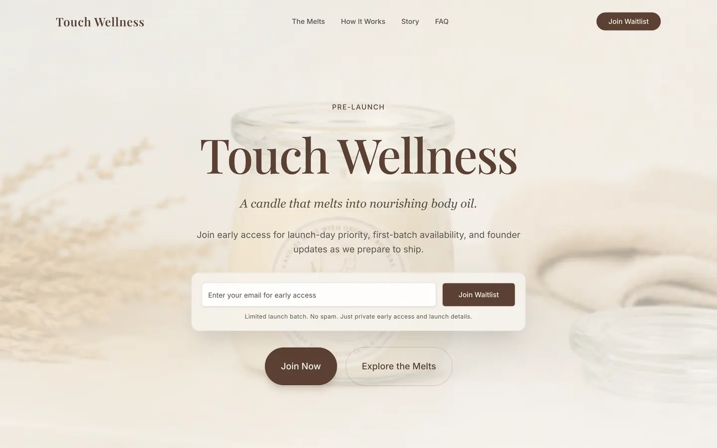 The Touch Wellness website